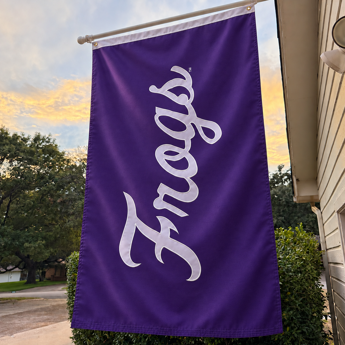Script Frogs 3' x 5' Applique Flag